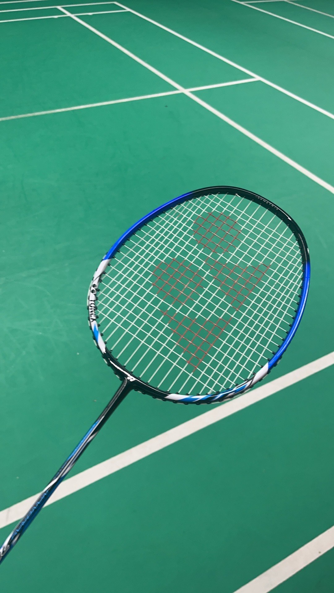 的身心健康 的身心健康